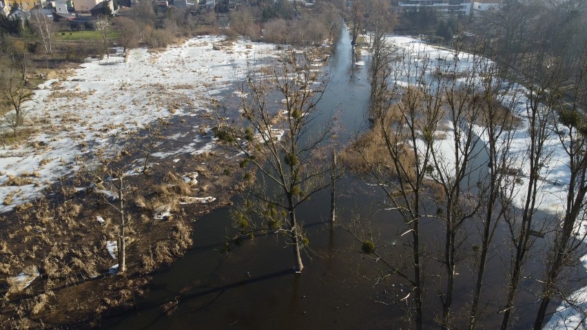 Księży Kacerek w Wągrowcu aktualnie jest zalany wodą