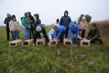 Ponad 1700 młodych kuropatw wyfrunęło na łąki i pola powiatu pleszewskiego