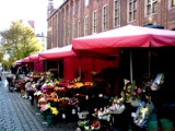 Toruńskie kwiaciarki sprzedają kolorowe bukiety kwiatów...!!!