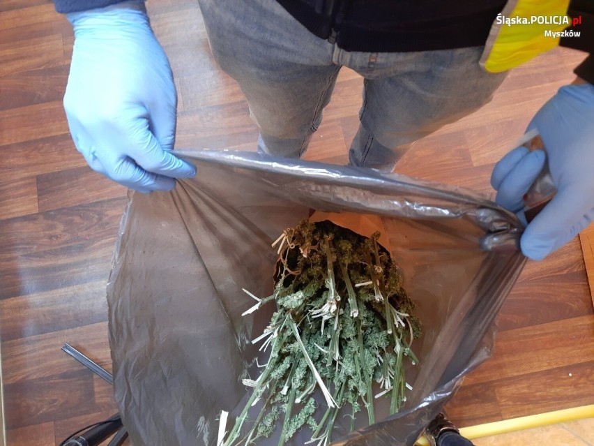 Myszkowscy policjanci przechwycili kilogram marihuany ZDJĘCIA
