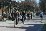 Ścieżki rowerowe w Sopocie. Będzie ich więcej! [ZOBACZ GDZIE?]