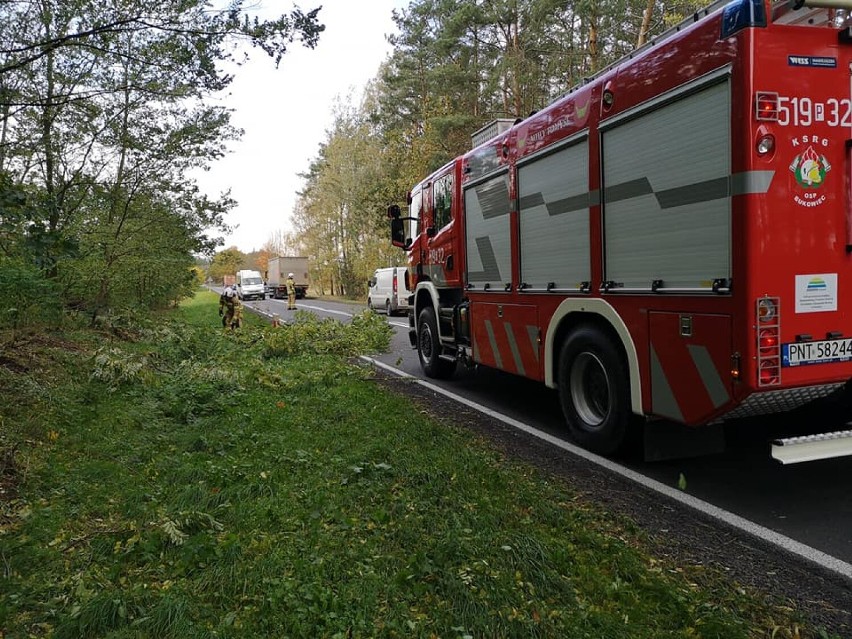 Liczne interwencje strażaków w związku z porywistym wiatrem [FOTO]