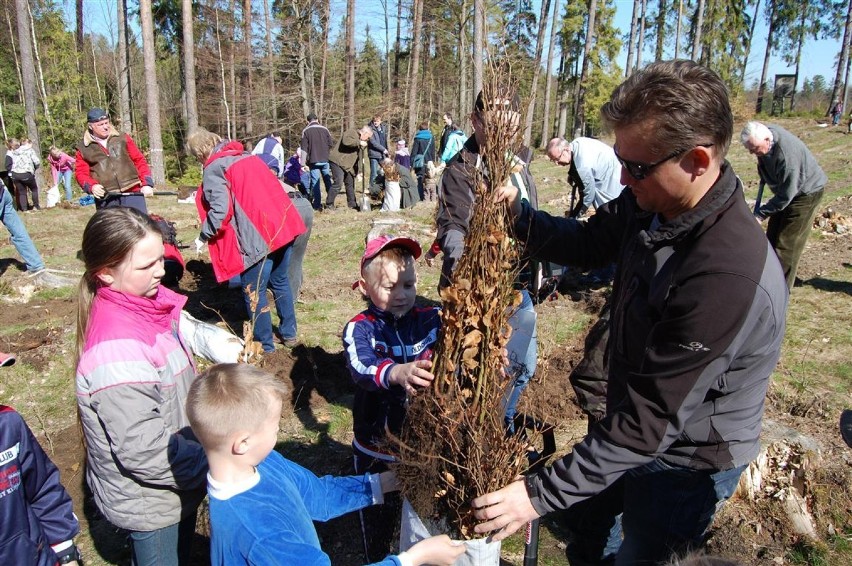 Sadzenie lasu w Mirachowie 20-03-2014