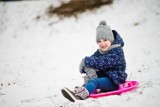 Jakie atrakcje czekają najmłodszych mieszkańców Sosnowca w drugi tydzień ferii zimowych? Sprawdzamy ofertę miasta