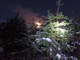 Zimowe krajobrazy nocą w bydgoskim Lesie Gdańskim [zdjęcia]