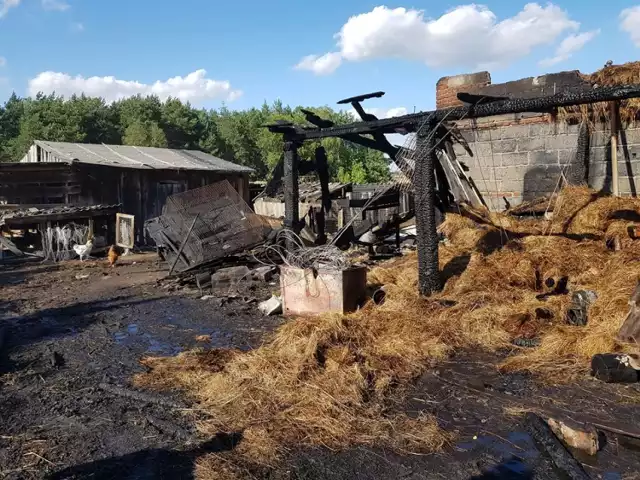 Kilka zastępów straży brało udział w gaszeniu pożaru w jednym z gospodarstw w Jaworze (gm. Zelów)