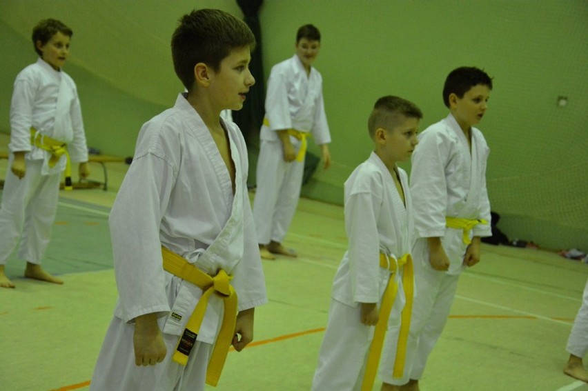 Powiatowe Zgrupowanie Karate w Kwilczu