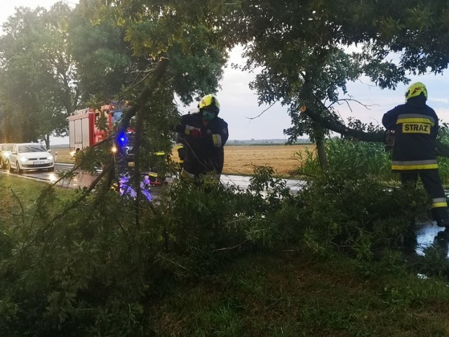 Burza w Szadku. Powalone drzewa zablokowały drogę w kierunku Poddębic. Interweniowała straż pożarna