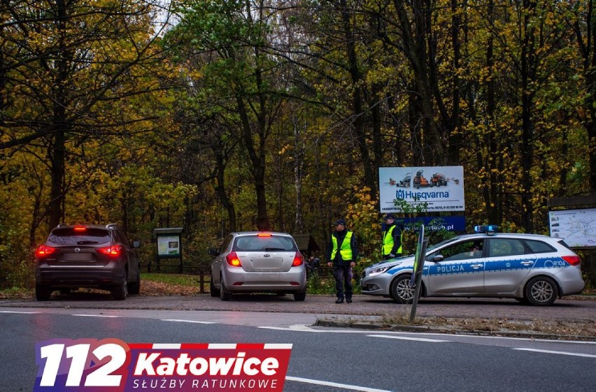 Katowice: Morderstwo w Lesie Murckowskim? W lesie znaleziono zwłoki mężczyzny