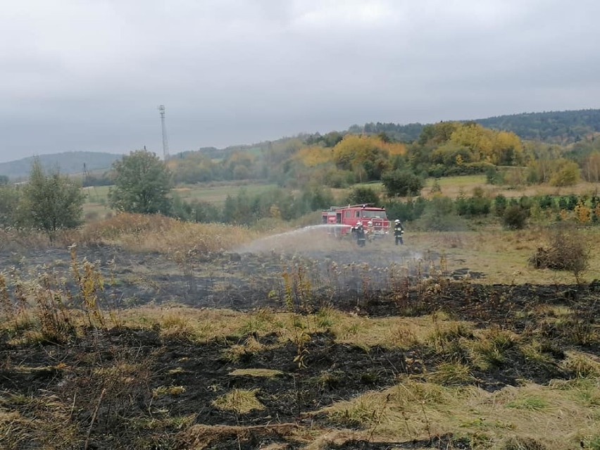 Gorlickie. Pożar suchych traw na łąkach w Krygu. Nad wsią unosił się słup gęstego dymu. Interweniowali strażacy [ZDJĘCIA,VIDEO]
