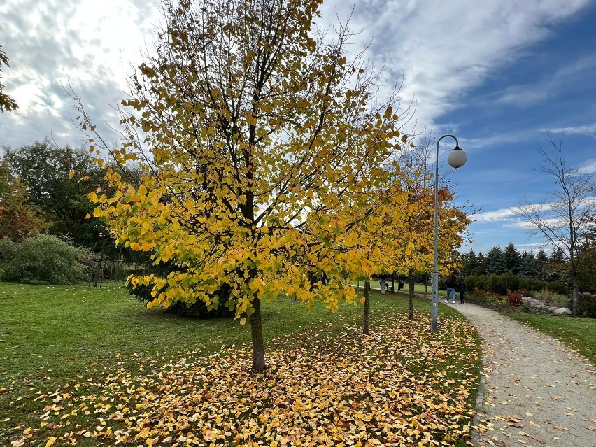 Kolory jesieni w Parku Europejskim i Słonecznym w Złotowie