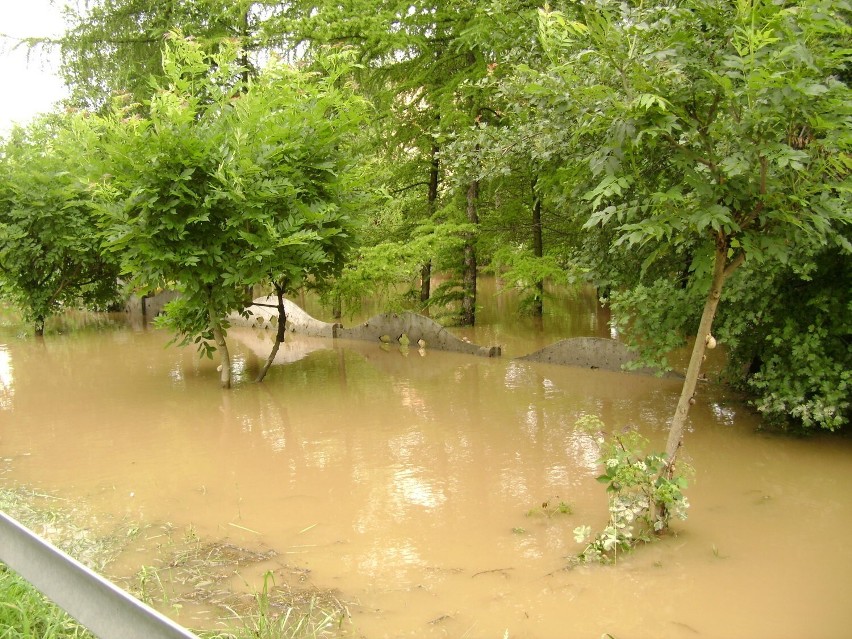 Powódź w gminie Trzyciąż - 2013 rok