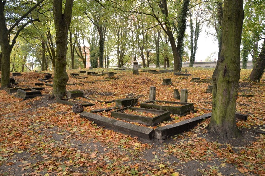 Malbork. Tak wygląda stary cmentarz przy ulicy Jagiellońskiej [ZDJĘCIA]. Warto pamiętać o tych, którzy tam spoczęli