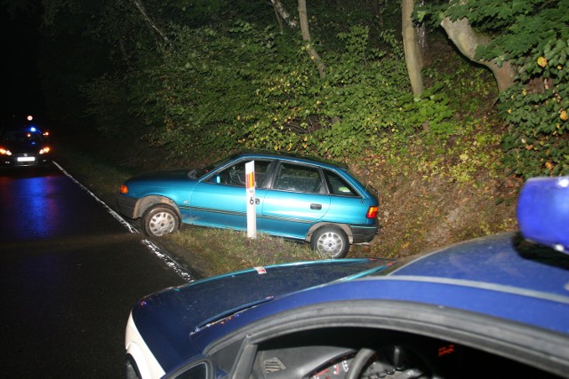 Akcja "Kometa" 2013 w Krasnymstawie: W miejscowości Borówek, na prostym odcinku drogi, kierowca stracił panowanie nad samochodem i wjechał do rowu.