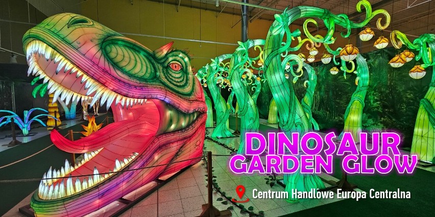 Świetlana wystawa Dinosaur Garden Glow                             