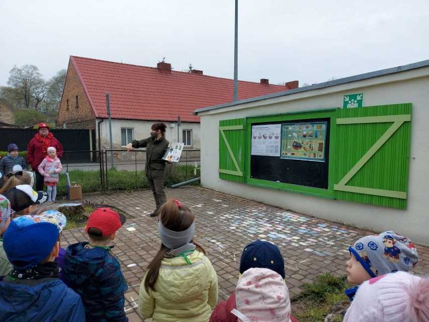 Przedszkolaki z Przedszkola nr 4 w Międzychodzie posadziły...