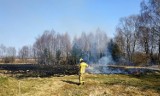 Powiat oświęcimski. Spalając śmieci na własnej posesji doprowadzili do pożarów łąk. Policja: śmieci należy segregować, a nie palić!