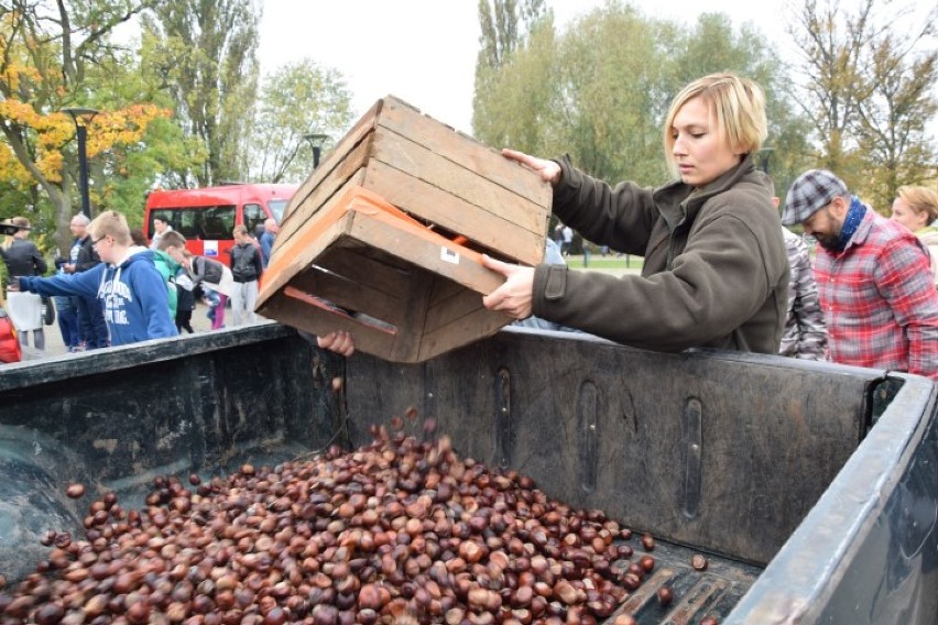 Nowy Dwór Gdański. Tegoroczny finał akcji "Pomóż zwierzętom...