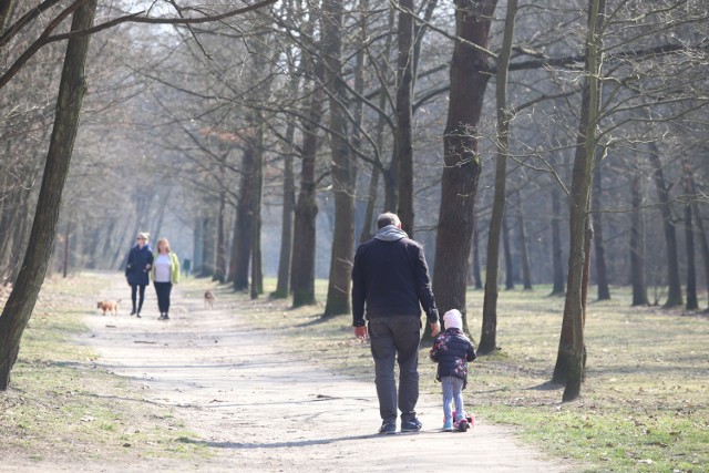 Łodzianie wzięli sobie do serca zakaz wychodzenia z domu bez ważnej potrzeby. Mimo słonecznego dnia z niemal 17 stopniami na termometrach w parkach i na terenach rekreacyjnych było pusto. Spacerowicze utrzymywali bezpieczną odległość.