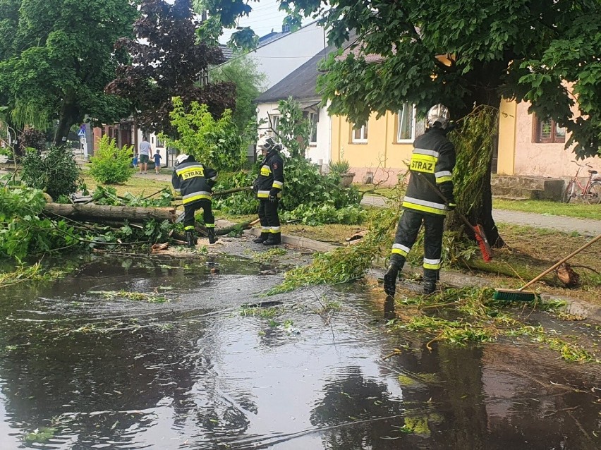 Nawałnica w Bolimowie - połamane drzewa i zerwane linie...