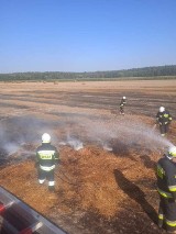 Gmina Pleszew. Pożar ścierniska i słomy w Grodzisku