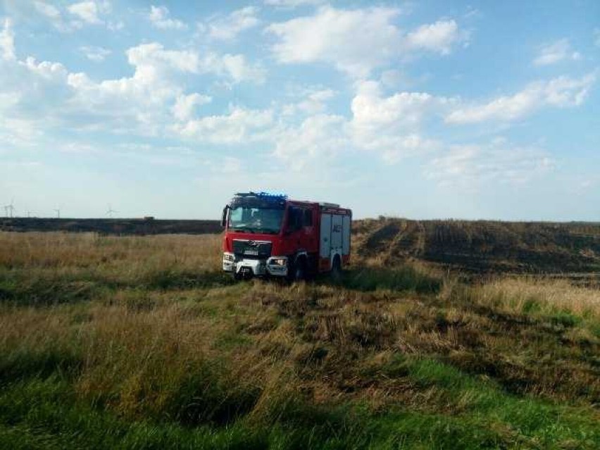 Pożar zboża na pniu w gminie Malechowo. W ogniu 5 hektarów [zdjęcia]