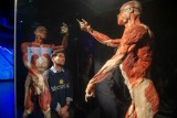 Wystawa BODY WORLDS powraca do Gdańska z nową ekspozycją!