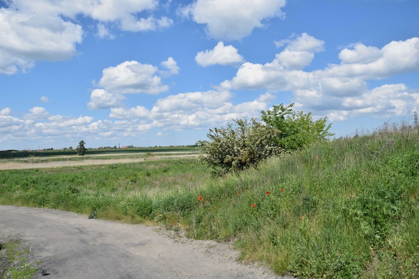 Malbork. Dodatkowa dotacja na kolektor deszczowy "przekazana" nad Nogatem [ZDJĘCIA]