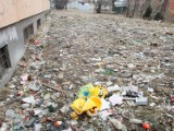 Sterta śmieci zalega wokół słynnego bloku Młoda 4