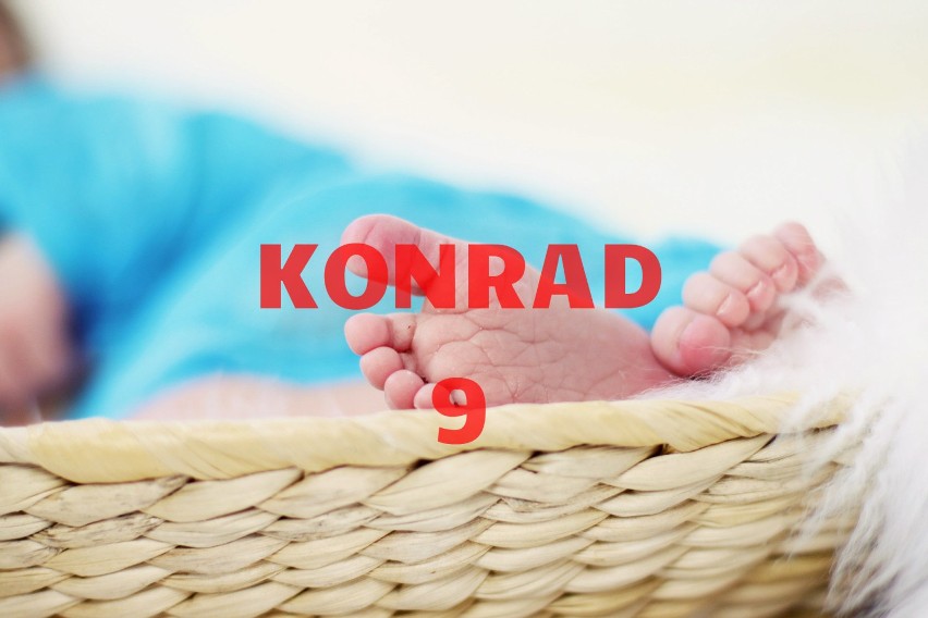 Konrad - 9