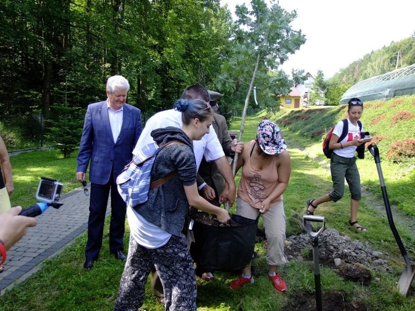 ŚDM 2016. Młodzi Kanadyjczycy zasadzili "Dąb Franciszka" w Alei Prezydenckiej [FOTO]
