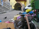 Wstyd! Śmieci zalewają okolice Podziemnej Trasy Turystycznej 