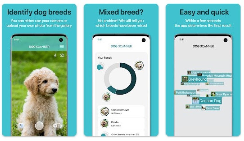Aplikacja Dog Scanner niezawodnie zidentyfikuje rasę Twojego...