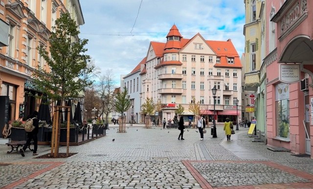 Zielona Góra to największe miasto w województwie lubuskim (pod względem powierzchni, ale także liczby mieszkańców)