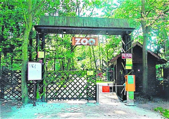 Wstępnie oszacowano, że na rozbudowę ogrodu zoologicznego potrzebne jest około 12 milionów złotych. Bez dotacji nie uda się tego pomysłu zrealizować
