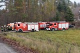 Leśnictwo Dziwno. Strażacy ćwiczyli na wypadek pożar lasu [ZDJĘCIA]