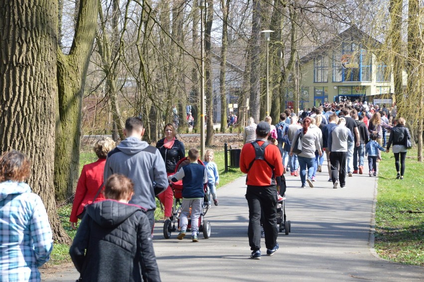 Opalamy się, grillujemy, jeździmy na rowerze czy na rolkach....