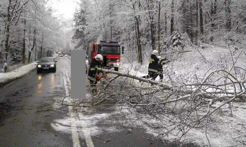 Opady mokrego śniegu w pow. żywieckim. Sporo interwencji strażaków [ZDJĘCIA]