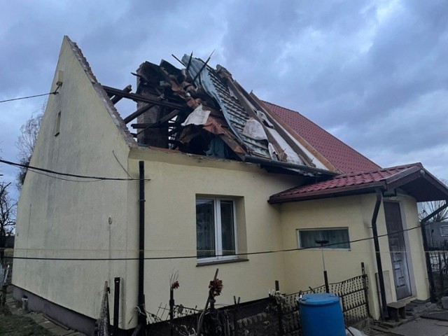 W ostatnich dniach przez Lubuskie przeszły wichury, które wyrządziły ogromne szkody. Zniszczone budynki, powalone drzewa, setki interwencji strażaków i brak prądu. To tylko nieliczne skutki nawałnic, z jakimi zmierzyliśmy się ostatnio. Niestety: na terenie naszego województwa doszło też do tragedii. Pod Międzyrzeczem, na jadący samochód zawaliło się drzewo. Kierowca zginął na miejscu.

Strażacy mieli pełne ręce roboty. Interweniowali setki razy, pracowali bez przerwy. Najwięcej interwencji dotyczyło powalonych drzew, połamanych gałęzi. Niestety, nie brakowało też tych, które dotyczyły zerwanych dachów, czy uszkodzonych elewacji.

Polecamy:
Orkan Eunice przeszedł przez Lubuskie. Połamane są drzewa, a budynki zniszczone. Tysiące mieszkańców nie ma prądu

Orkan Dudley i Eunice zniszczyły wiele domów i budynków w Lubuskiem. W nocy w poniedziałek 21 lutego czekają nas kolejne, silne podmuchy wiatru. Uważajcie na siebie i zabezpieczcie swoje mienie.

Przeczytaj też:
Wydano kolejny alert dla Lubuskiego