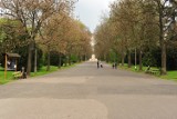 Park Skaryszewski w Warszawie. Remont odmieni popularne miejsce do wypoczynku