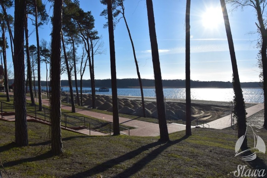 Na nowej plaży nad Jeziorem Sławskim zrobiło się zielono 