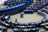 Na listach do Parlamentu Europejskiego w Wielkopolsce pełno spadochroniarzy. Adam Szejnfeld ostatni na liście Koalicji Europejskiej