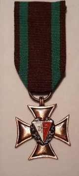 Brązowy Krzyż „Za Zasługi dla ZHP” dla nauczyciela Zespołu Szkół  w Stegnie