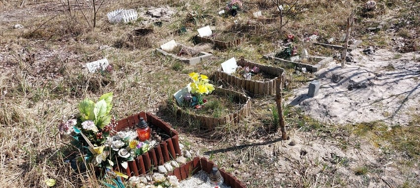 Tak wygląda nielegalny cmentarz dla zwierząt na terenach...