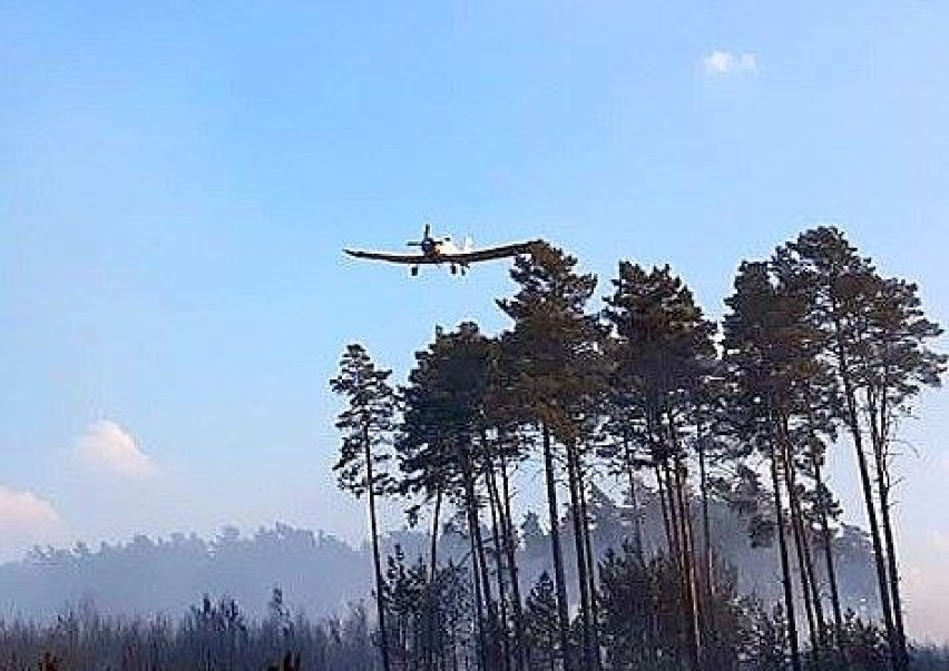 Ze względu na wysokie temperatury, brak opadów i powiewy...