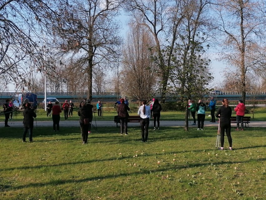 30 osób brało w zajęciach nordic walking na terenie MOSiR
