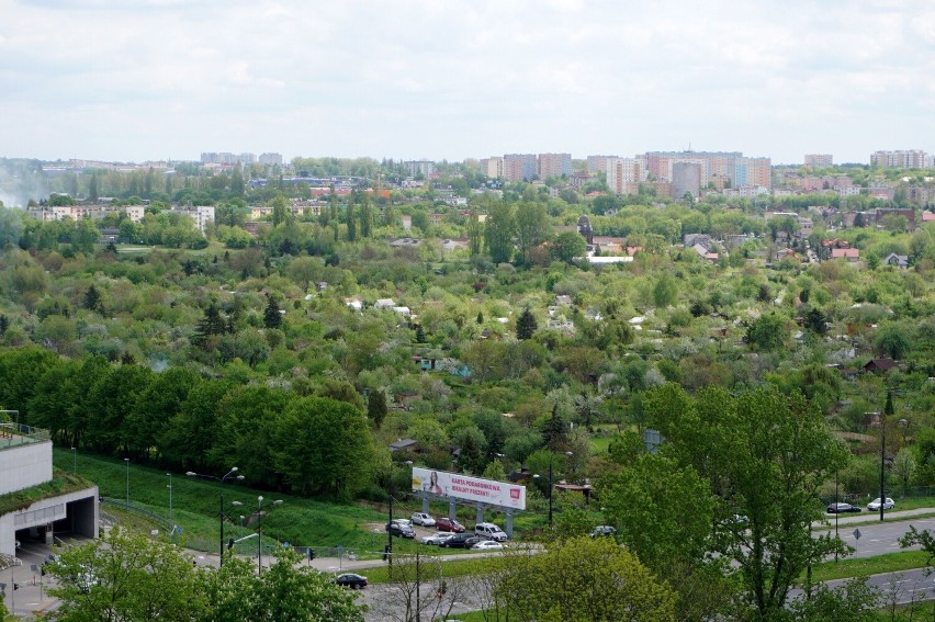 Lublin. Najtańsze działki ROD w Lublinie! Za ile mogą być twoje? Zobacz