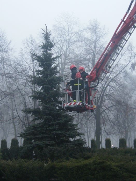 Zobacz, jak strażacy ubierali świąteczne drzewko