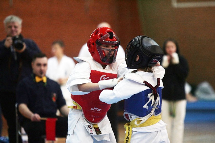 Turniej Karate Silesia Cup Shinkyoushin w Legnicy