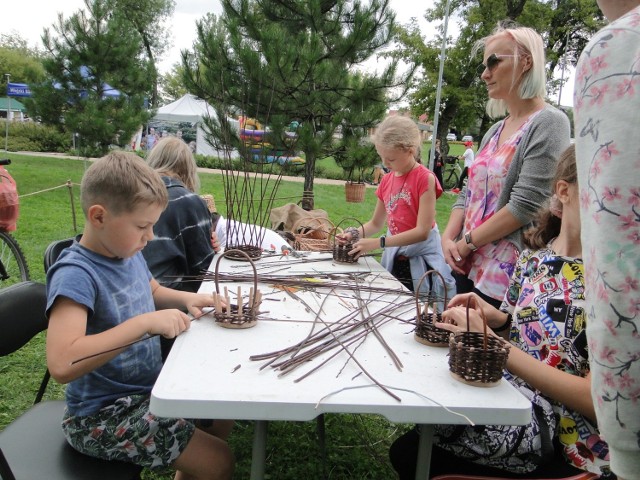 Podczas Festiwalu Ogrodów na Obozisku można było nauczyć się wyplatać koszyki z wikliny. Chętnych nie brakowało.